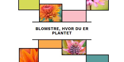 Bloom, hvor du er plantet white modern-geo-&-linear