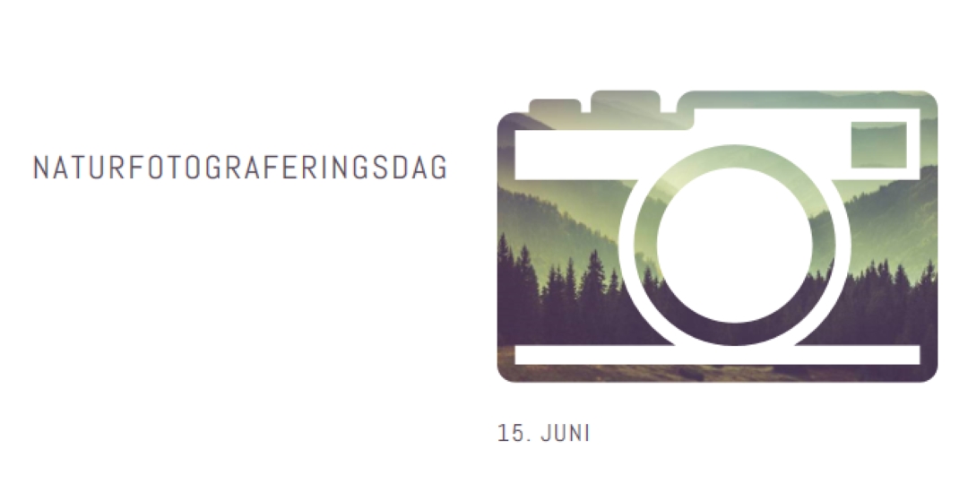 Naturfotograferingsdag white modern-simple
