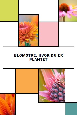 Bloom, hvor du er plantet white modern-geo-&-linear