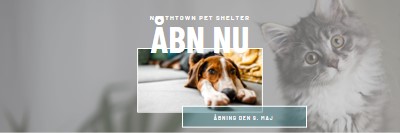 Katte og hunde gray modern-simple