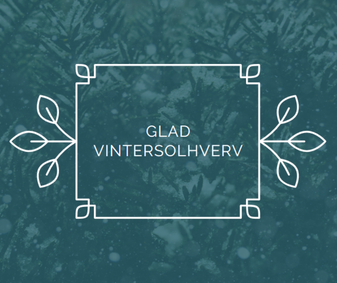 Vintersolhverv green modern-simple