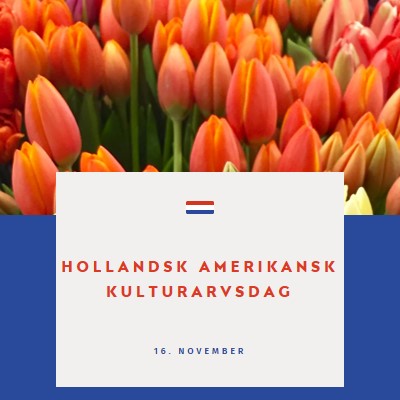 Fejring af hollandske rødder orange modern-simple