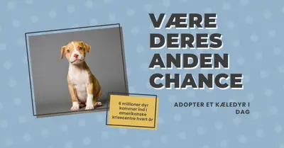 Hvalp med anden chance blue modern-bold