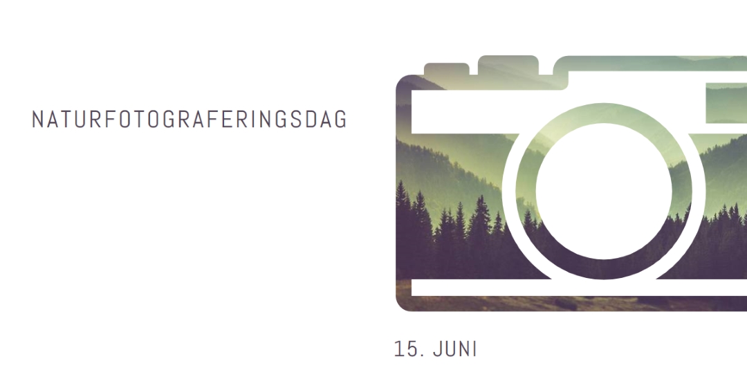 Naturfotograferingsdag white modern-simple