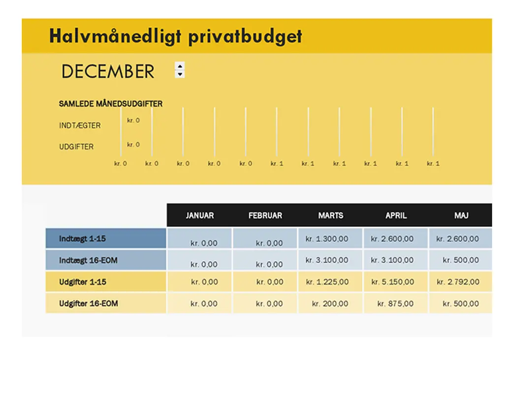 Halvmånedligt privatbudget modern simple