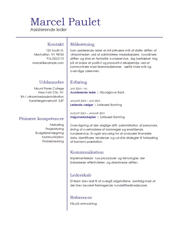 Grundlæggende ledelses-CV