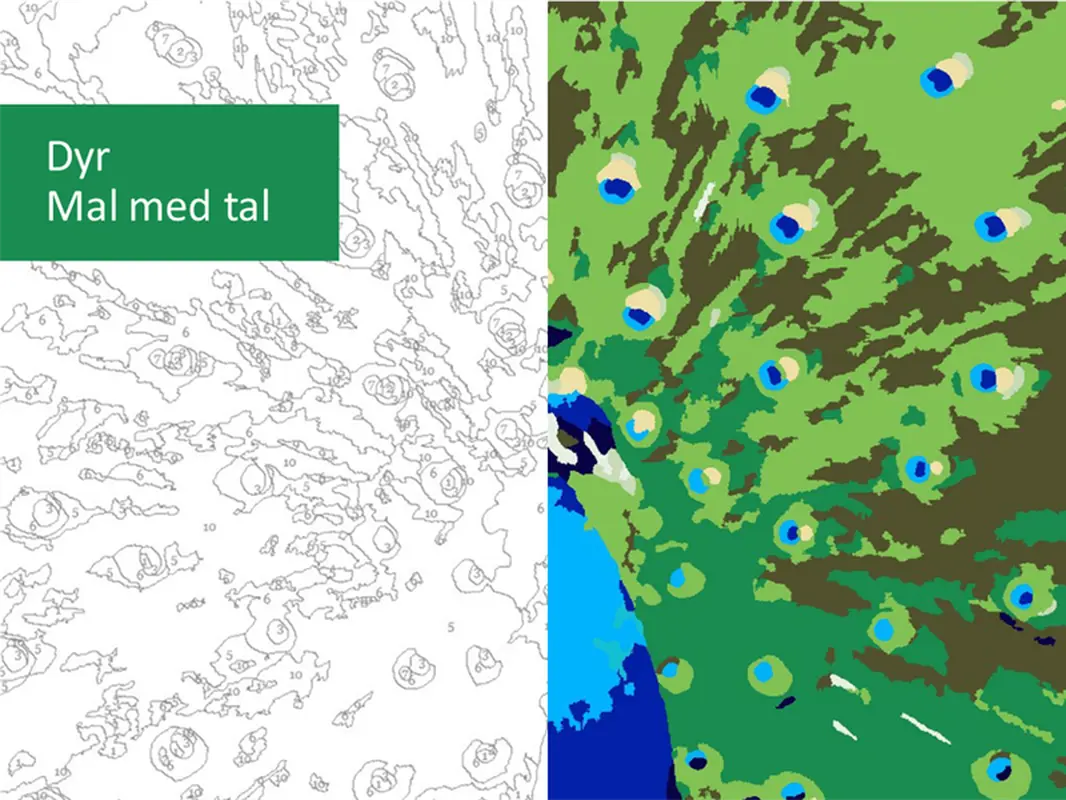 Mal dyr med tal