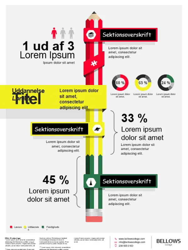 Infografisk plakat til uddannelse modern-bold