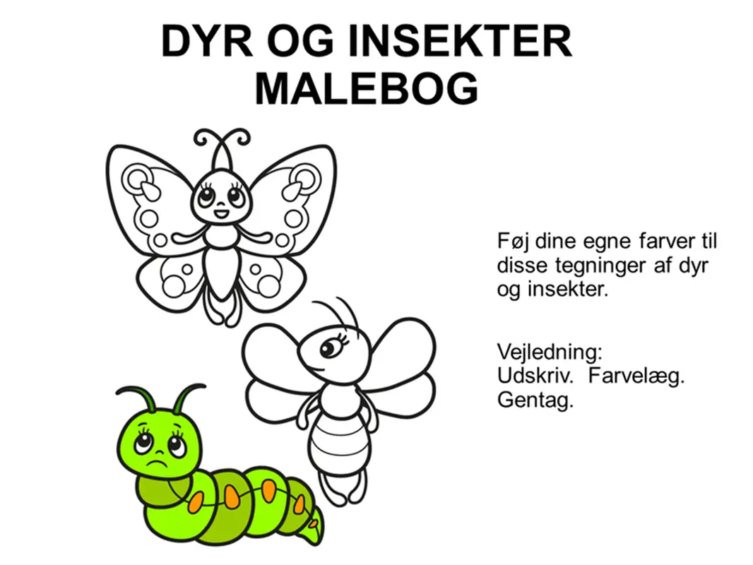Malebog med dyr og insekter