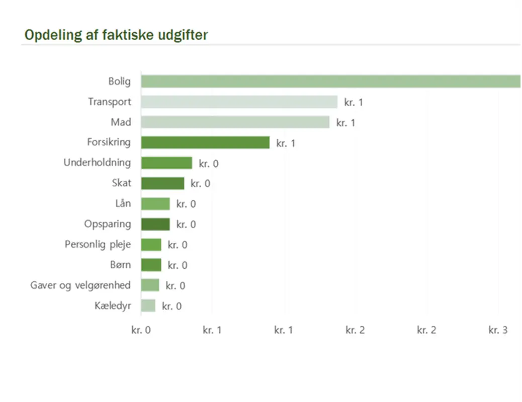 Månedsbudget for husstanden
