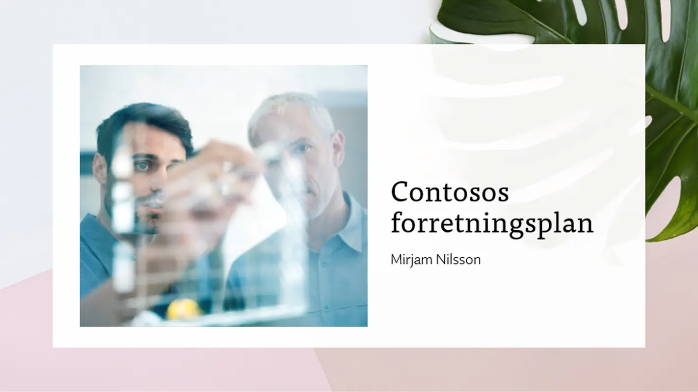Præsentation af forretningsplan organic-simple