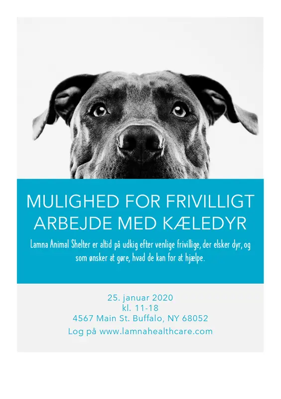 Løbeseddel med mulighed for frivilligt arbejde med kæledyr modern-simple