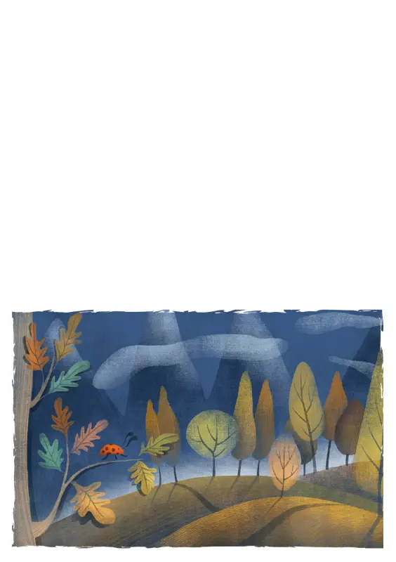 Lykønskningskort med mariehøne (foldet på midten) blue whimsical-color-block