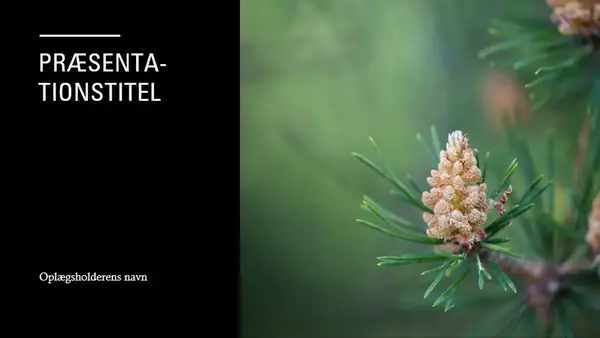 Krønikedesign modern-simple