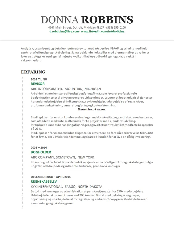 Regnskabs-CV modern-simple