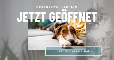 Katzen und Hunde gray modern-simple