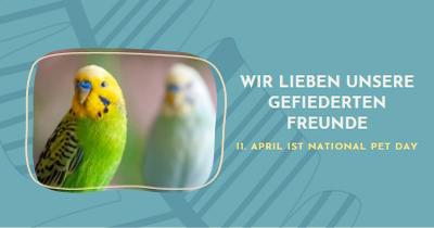 Feder zusammen blue organic-simple