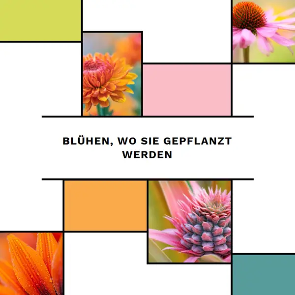 Blüte dort, wo du gepflanzt bist white modern-geo-&-linear