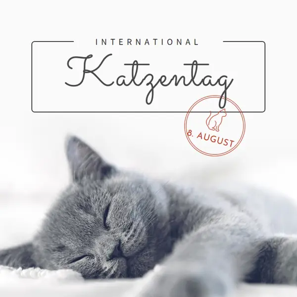 Katzenschläfchen gray modern-simple