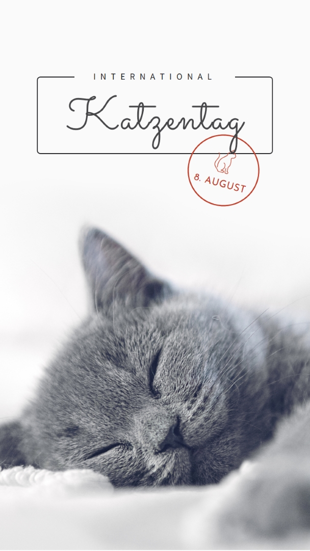 Katzenschläfchen gray modern-simple