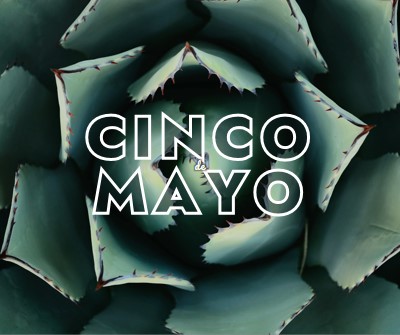 Feiern Sie Cinco de Mayo green modern-bold
