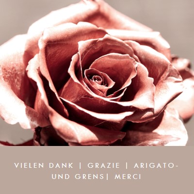 Blume der Freundlichkeit pink modern-simple