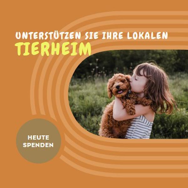 Tierheim-Helfer orange whimsical-color-block