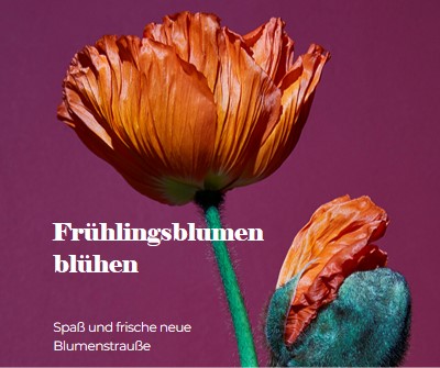 Frische Blumen purple modern-simple