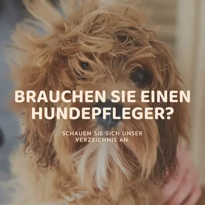 Scruffy zu flauschig brown modern-simple