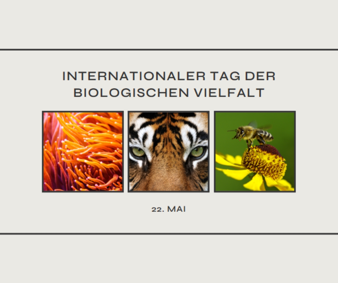 Belebende Natur gray modern-simple