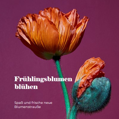 Frische Blumen purple modern-simple