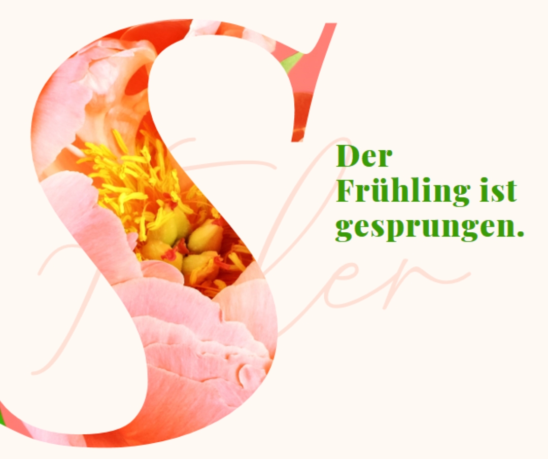 Spring preening pink vintage-botanical