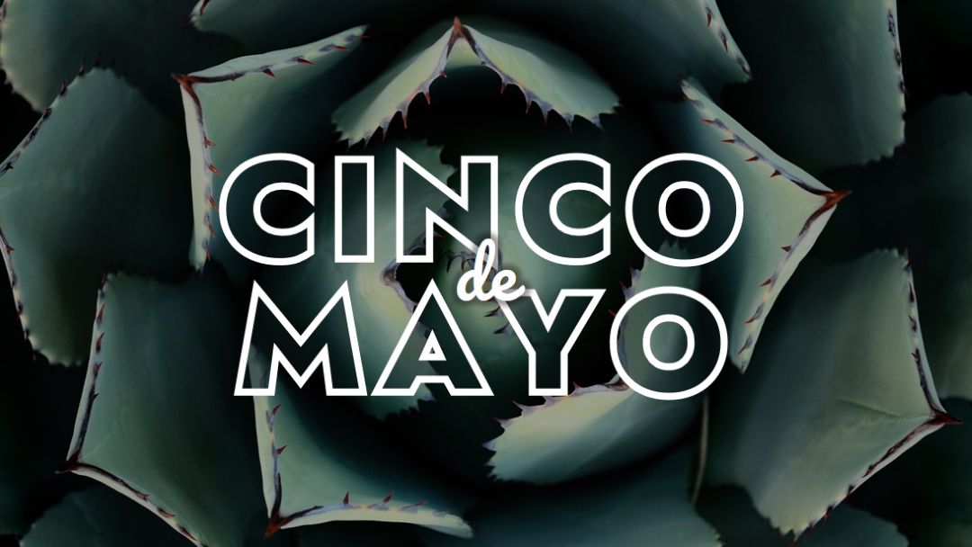 Feiern Sie Cinco de Mayo green modern-bold