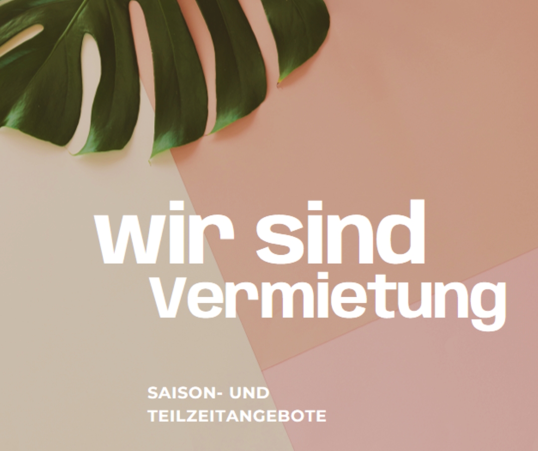 Wir stellen Saisonarbeiter ein pink modern-simple