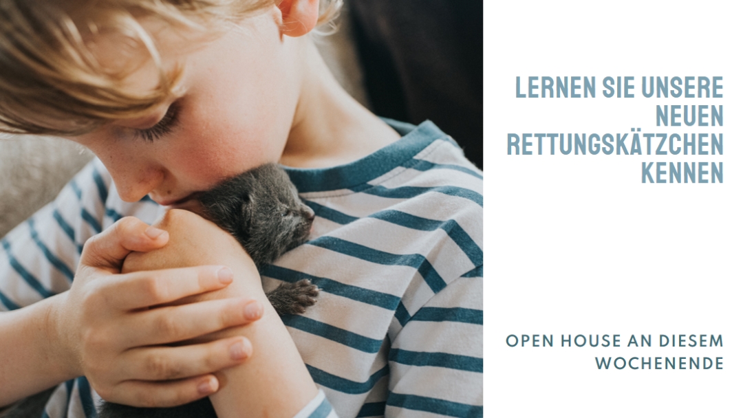 Lernen Sie unsere neuen Rettungsaktionen kennen pink modern-simple