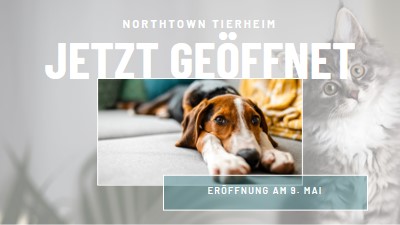 Katzen und Hunde gray modern-simple