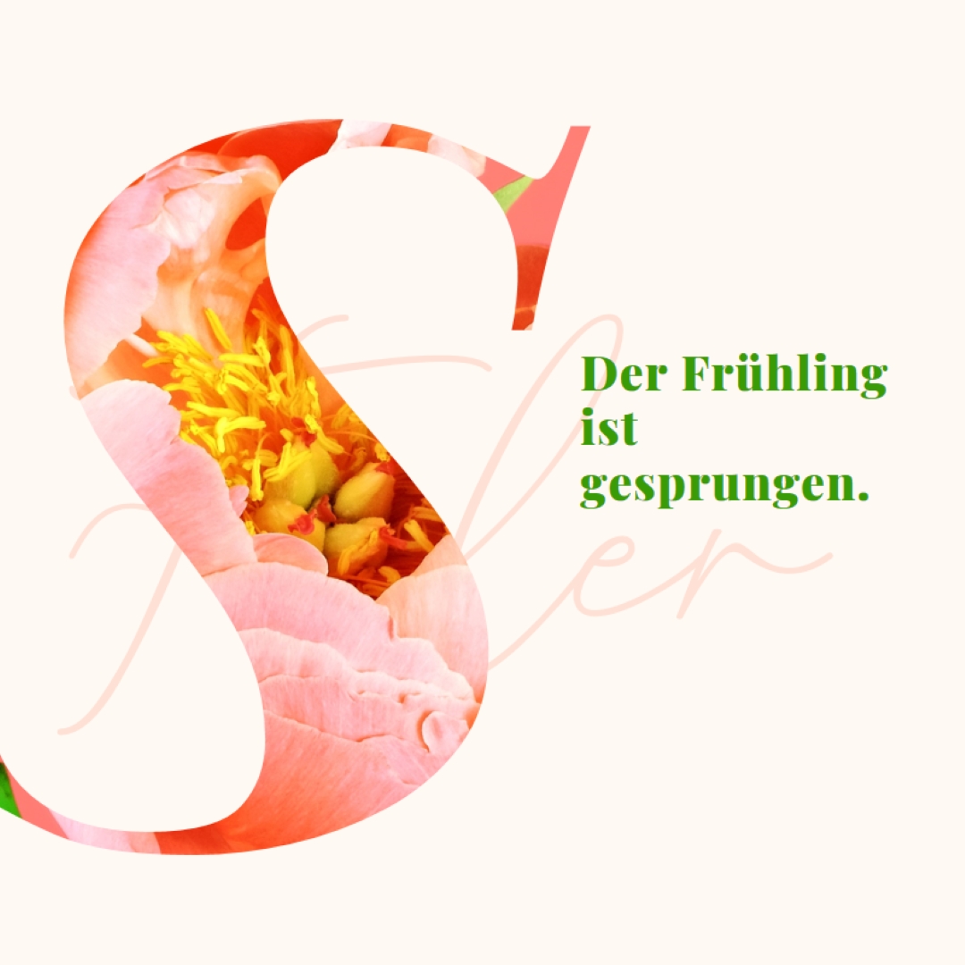 Spring preening pink vintage-botanical