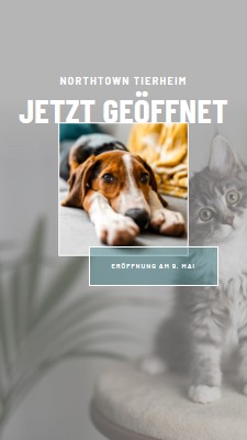 Katzen und Hunde gray modern-simple