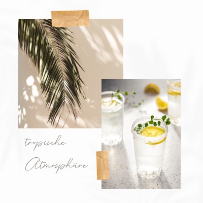 Tropische Cocktail-Atmosphäre white photographic,collage,minimal,scrapbook,handwriting,botanical,