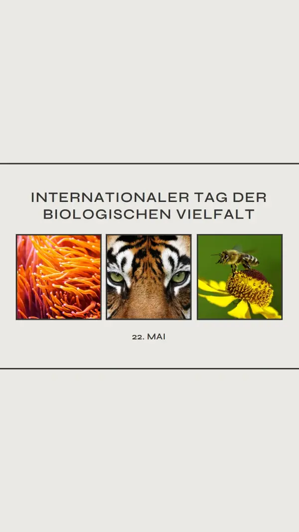 Belebende Natur gray modern-simple