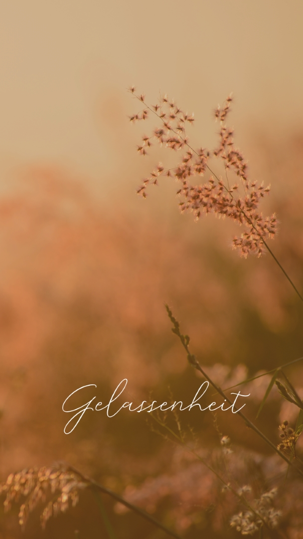 Felder der Gelassenheit brown modern,minimal,nature,quiet,soft,plants