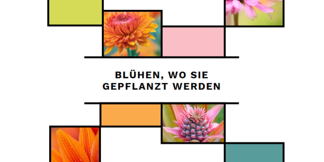 Blüte dort, wo du gepflanzt bist white modern-geo-&-linear