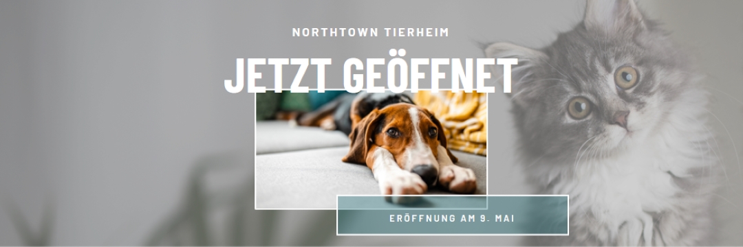 Katzen und Hunde gray modern-simple