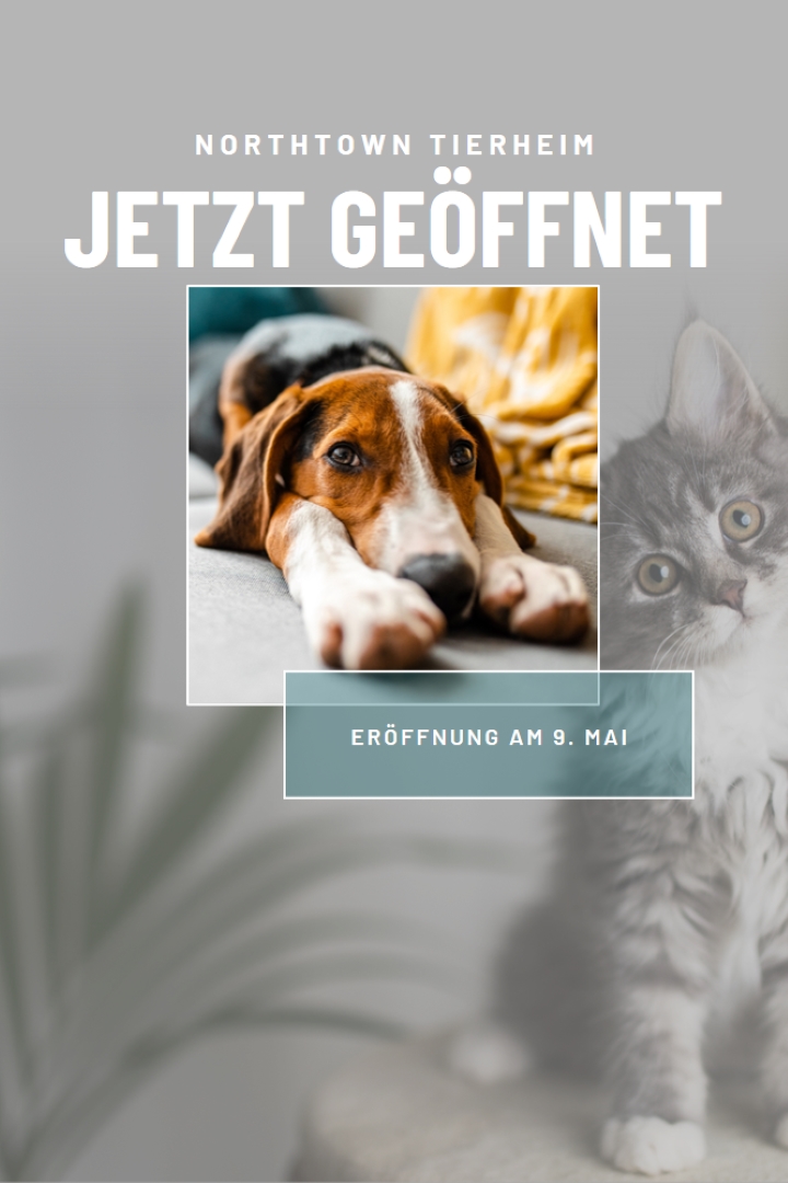 Katzen und Hunde gray modern-simple