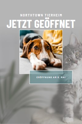 Katzen und Hunde gray modern-simple