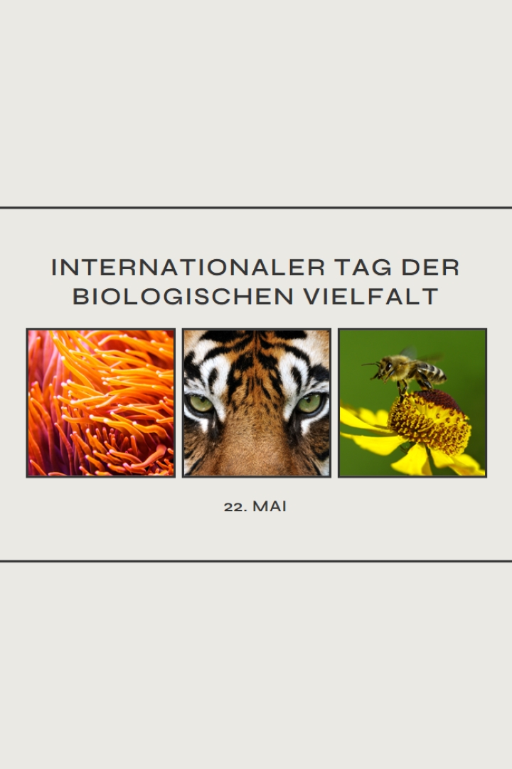Belebende Natur gray modern-simple