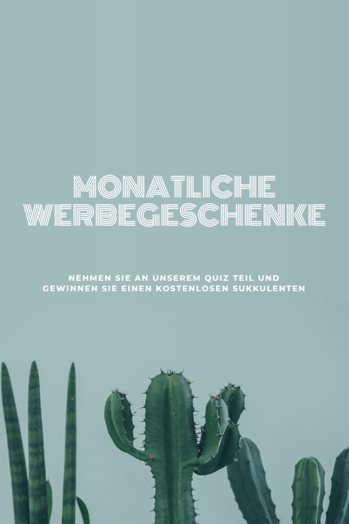 Monatliches Giveaway-Quiz green modern-simple