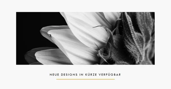 Knusprige Blütenblätter white modern-simple