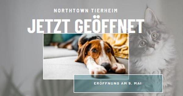 Katzen und Hunde gray modern-simple