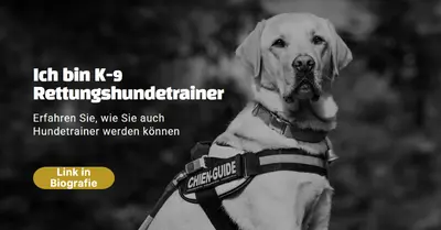 Ich bin Rettungshunde-Trainer black modern-simple